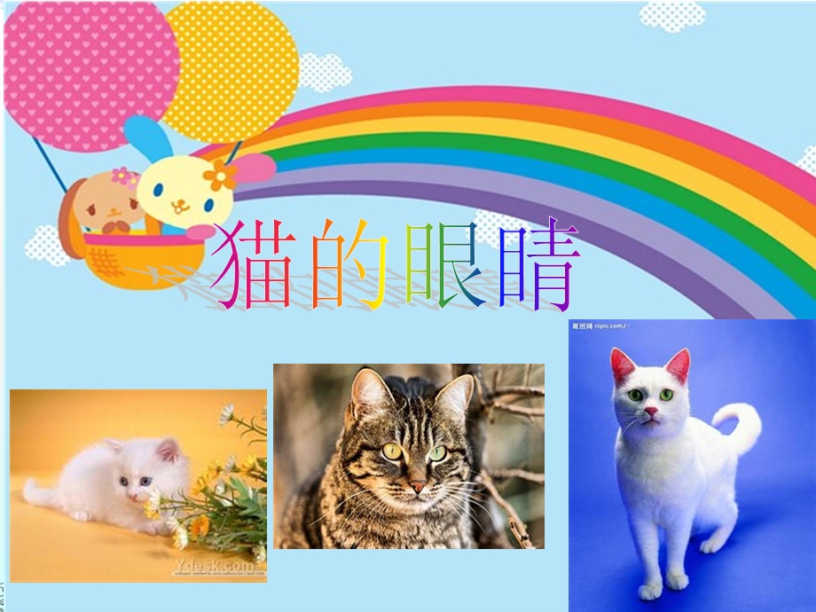 《千奇百怪的眼睛》PPT课件.ppt_第2页