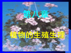 《生殖生理》PPT课件.ppt