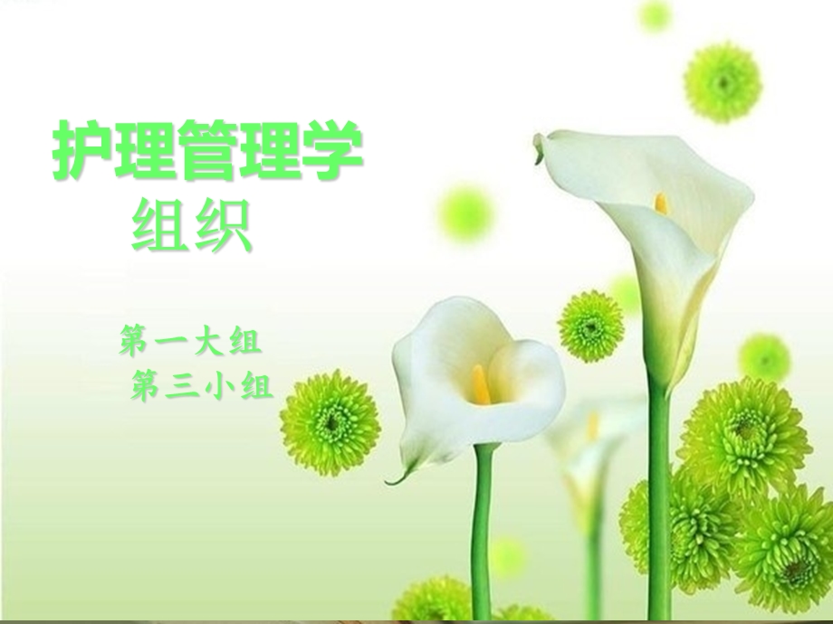 《护理管理》PPT课件.ppt_第1页