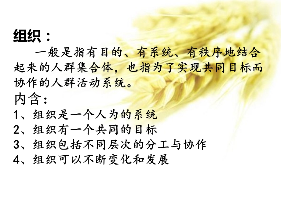 《护理管理》PPT课件.ppt_第3页