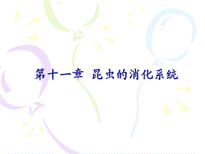 《昆虫的消化系统》PPT课件.ppt