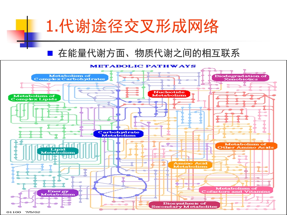 《细胞代谢调控》PPT课件.ppt_第3页