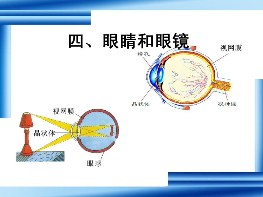 《眼睛与眼镜》PPT课件.ppt_第3页