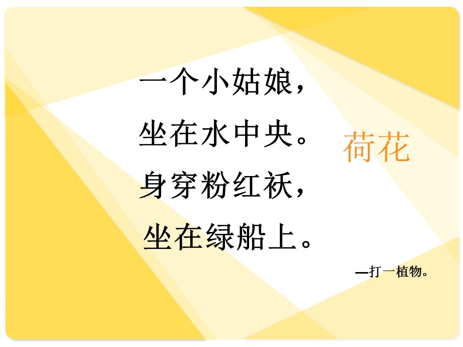 《美术荷花》PPT课件.ppt_第2页