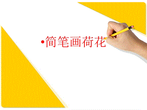 《美术荷花》PPT课件.ppt