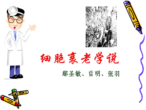 《细胞衰老学说》PPT课件.ppt