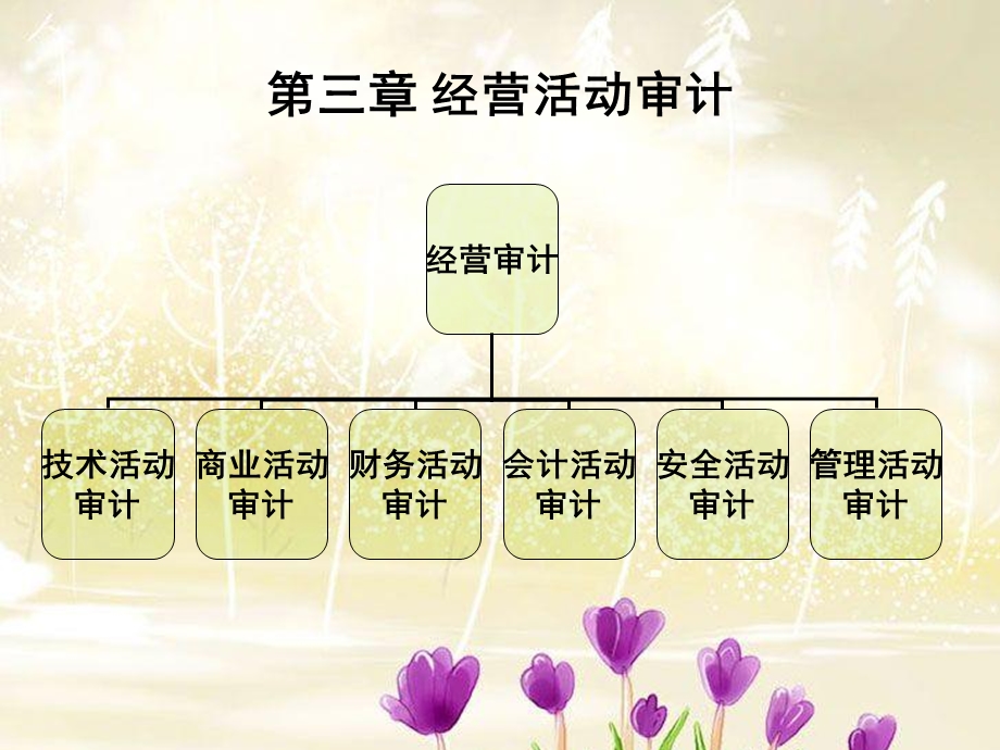 《经营活动审计》PPT课件.ppt_第2页