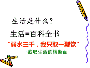 《生活=百科全书》PPT课件.ppt