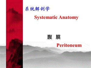 《腹膜系统解剖学》PPT课件.ppt