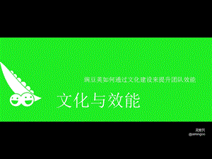 《文化与效能》PPT课件.ppt