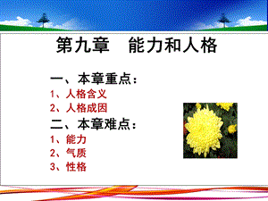 《能力和人格》PPT课件.ppt