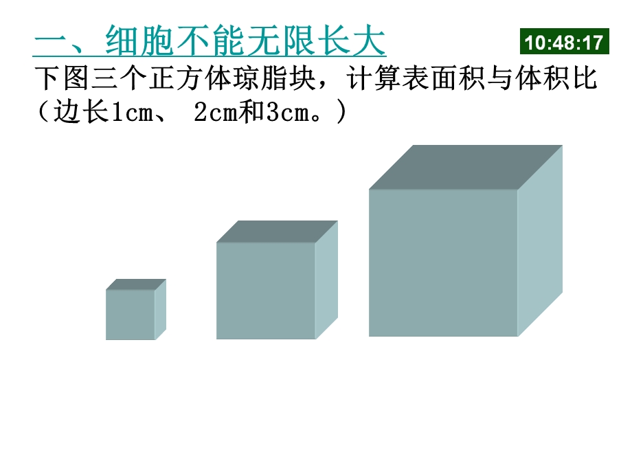 植物细胞的有丝分裂实验及习题(附动画).ppt_第2页