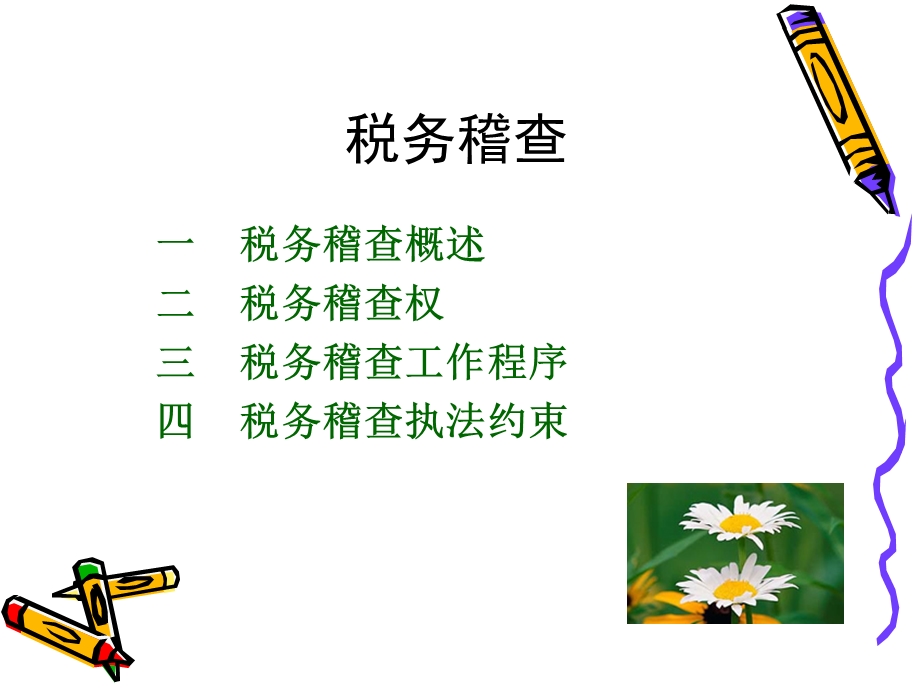 《税务稽查》PPT课件.ppt_第1页