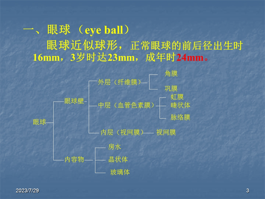 眼科学基础(new).ppt_第3页