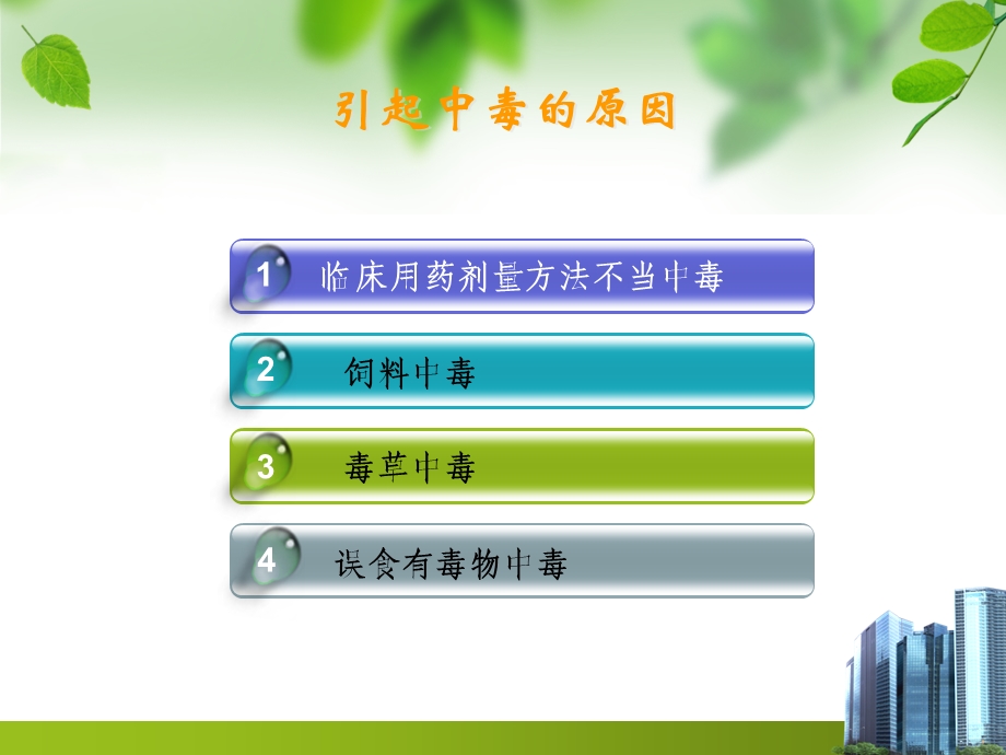 《牛中毒性疾病》PPT课件.ppt_第3页