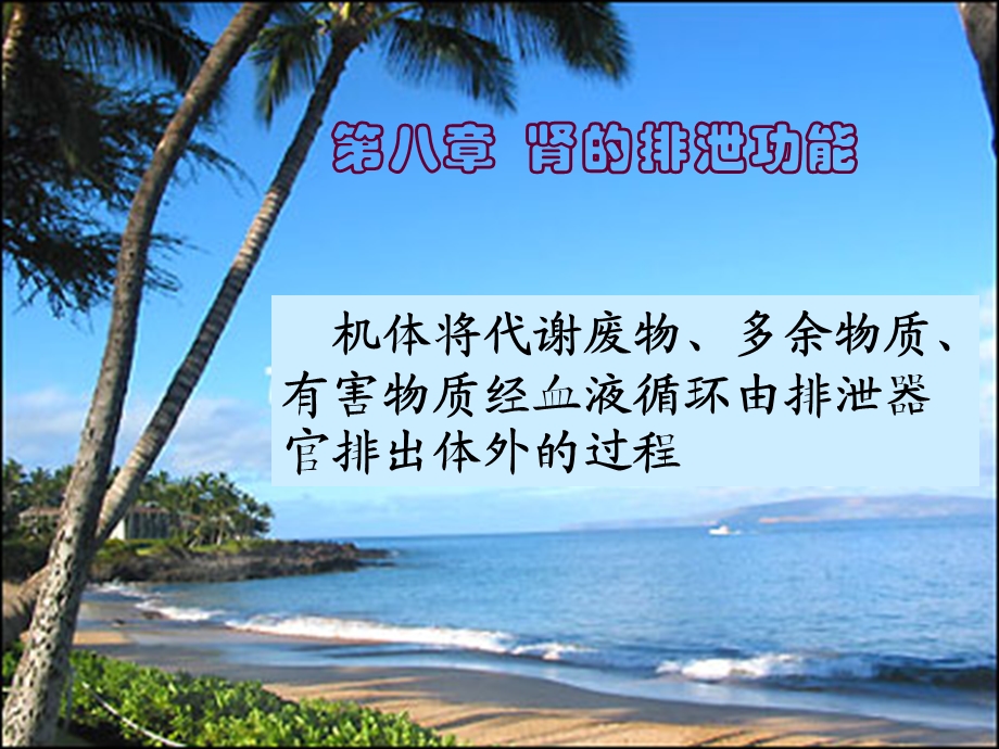 《肾的排泄功能》PPT课件.ppt_第1页