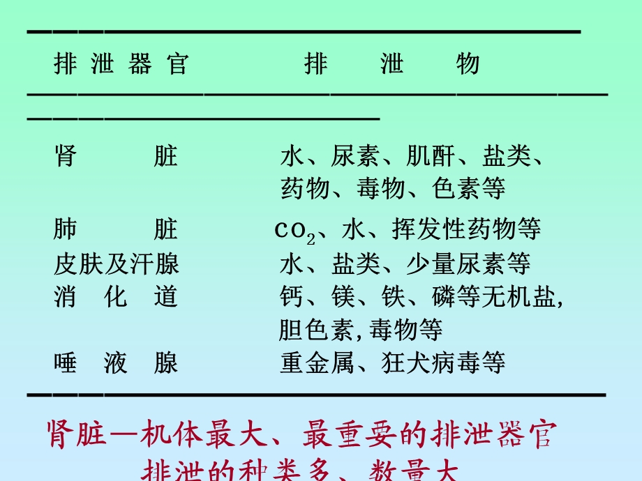 《肾的排泄功能》PPT课件.ppt_第2页