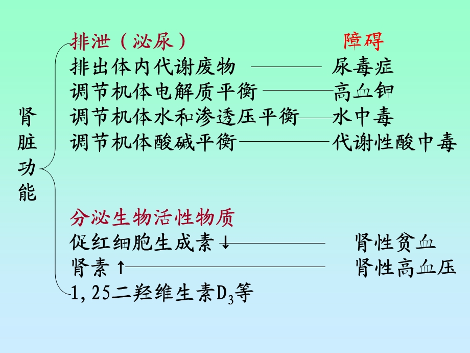 《肾的排泄功能》PPT课件.ppt_第3页