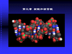 《核酸和核苷酸》PPT课件.ppt