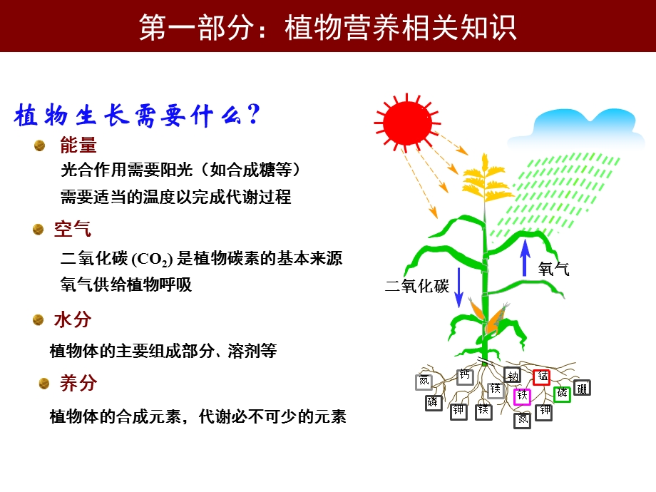 《植物生长养分需求》PPT课件.ppt_第3页