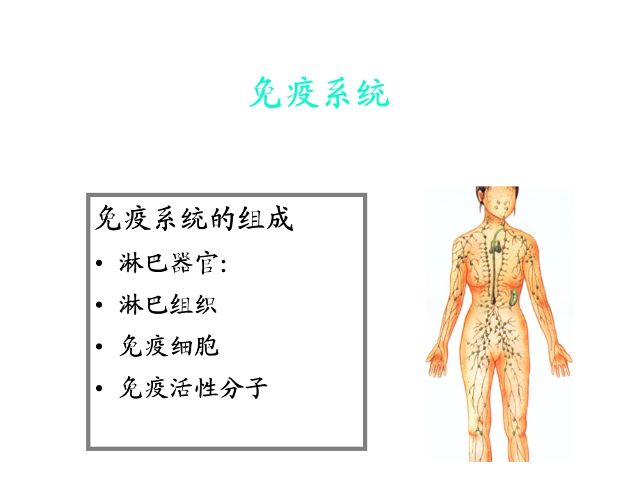 《生理基础》PPT课件.ppt_第1页