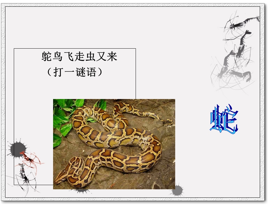 《生肖文化蛇》PPT课件.ppt_第1页