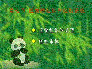 《植物组织》PPT课件.ppt