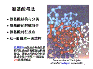 《氨基酸与肽》PPT课件.ppt