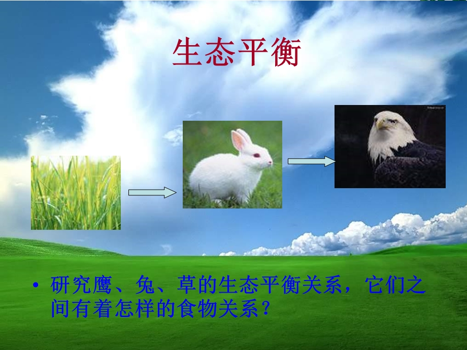 《生态平衡》PPT课件.ppt_第2页