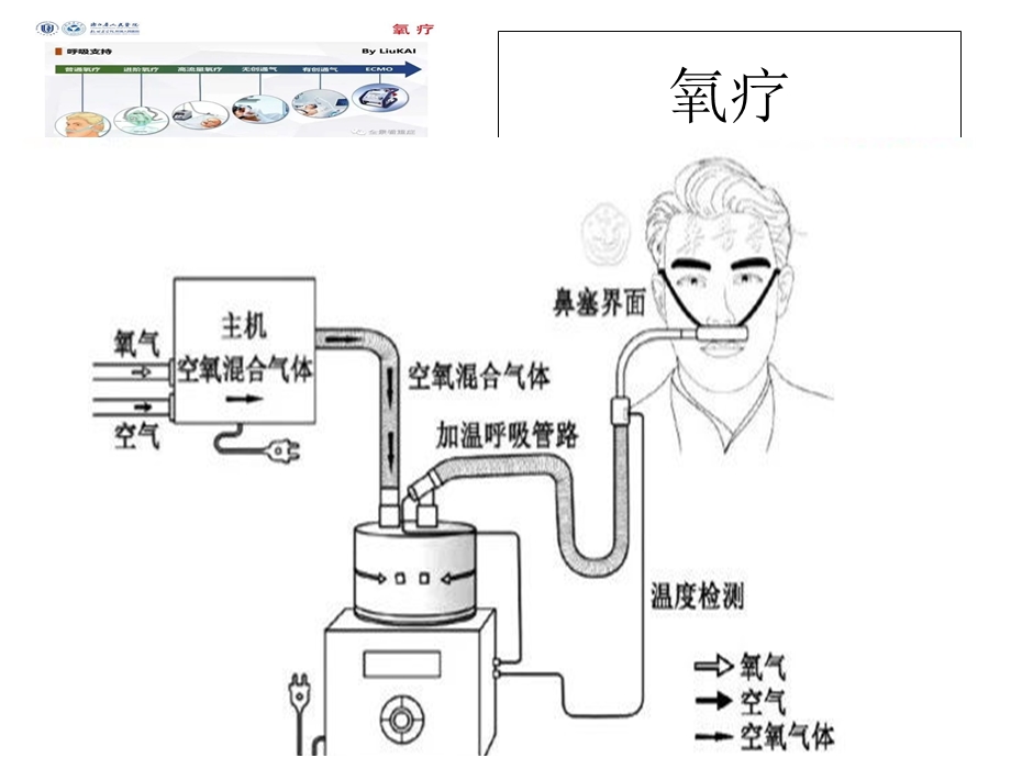 《经鼻高流量指南》PPT课件.ppt_第3页