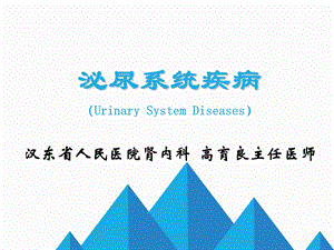 《肾脏疾病概述》PPT课件.ppt