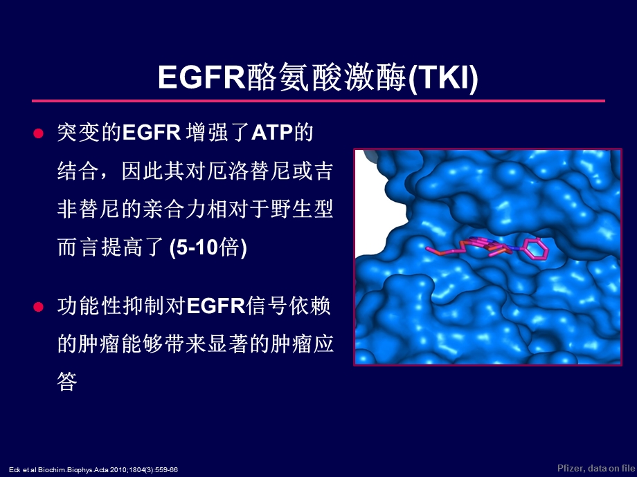 EGFR-TKI在非小细胞肺癌的热点问题.ppt_第3页