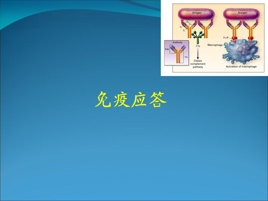 《疫学基础》PPT课件.ppt_第1页