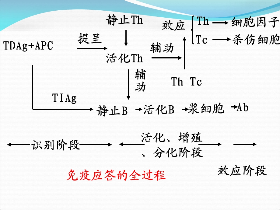 《疫学基础》PPT课件.ppt_第2页