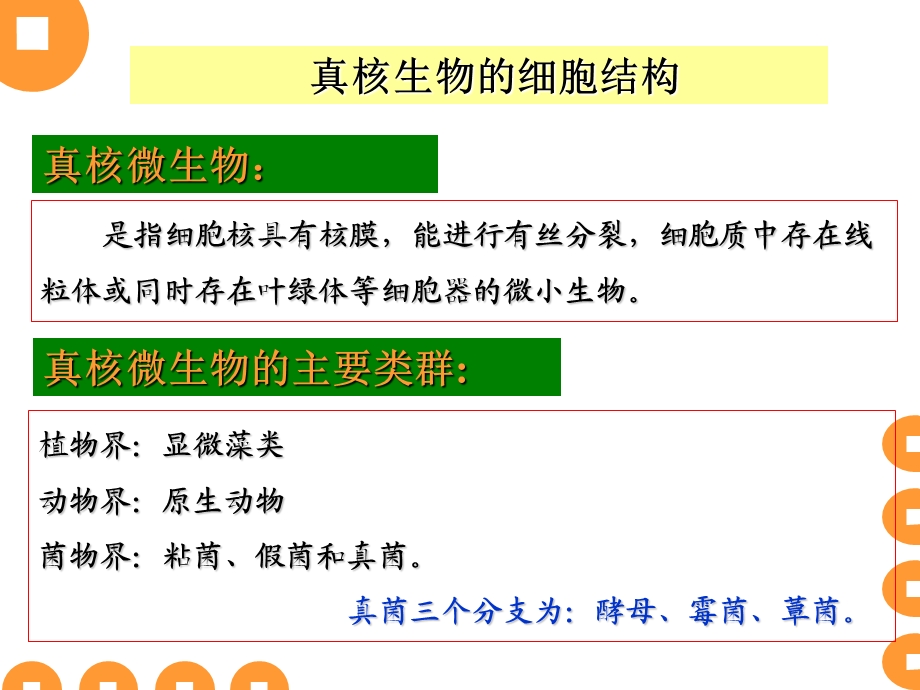 《真核生物》PPT课件.ppt_第2页