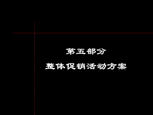 《整体促销活动方案》PPT课件.ppt