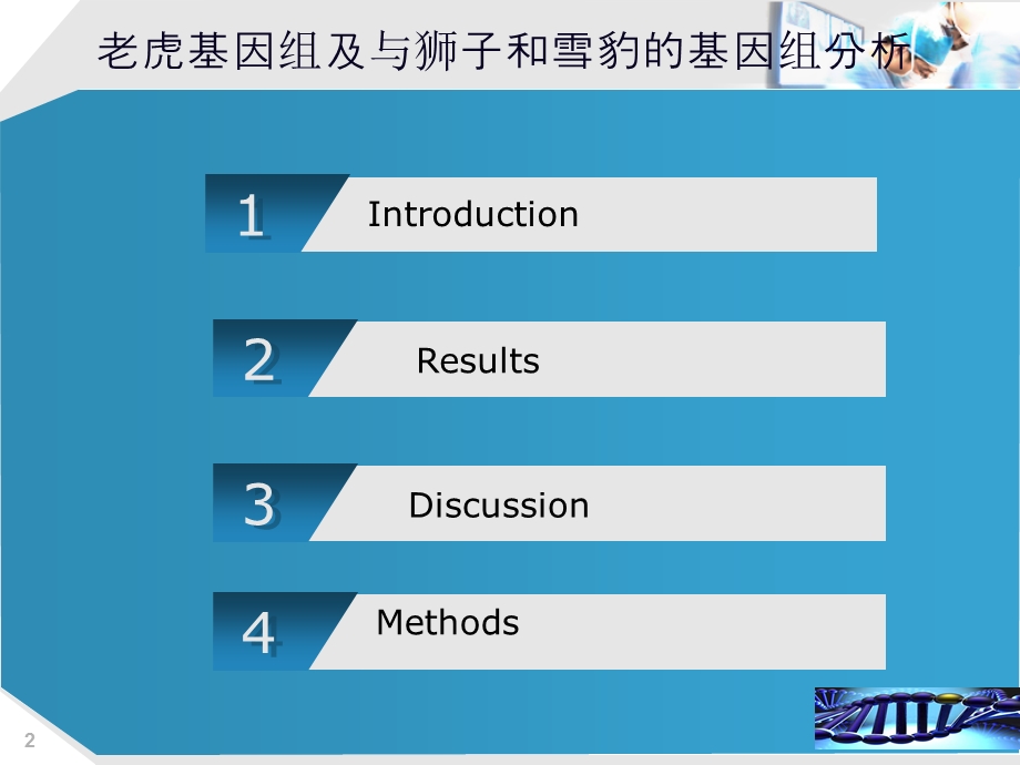 《老虎基因分析》PPT课件.ppt_第2页