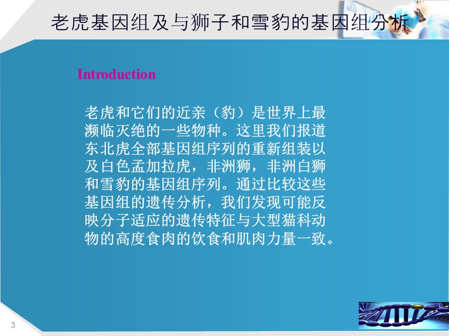 《老虎基因分析》PPT课件.ppt_第3页