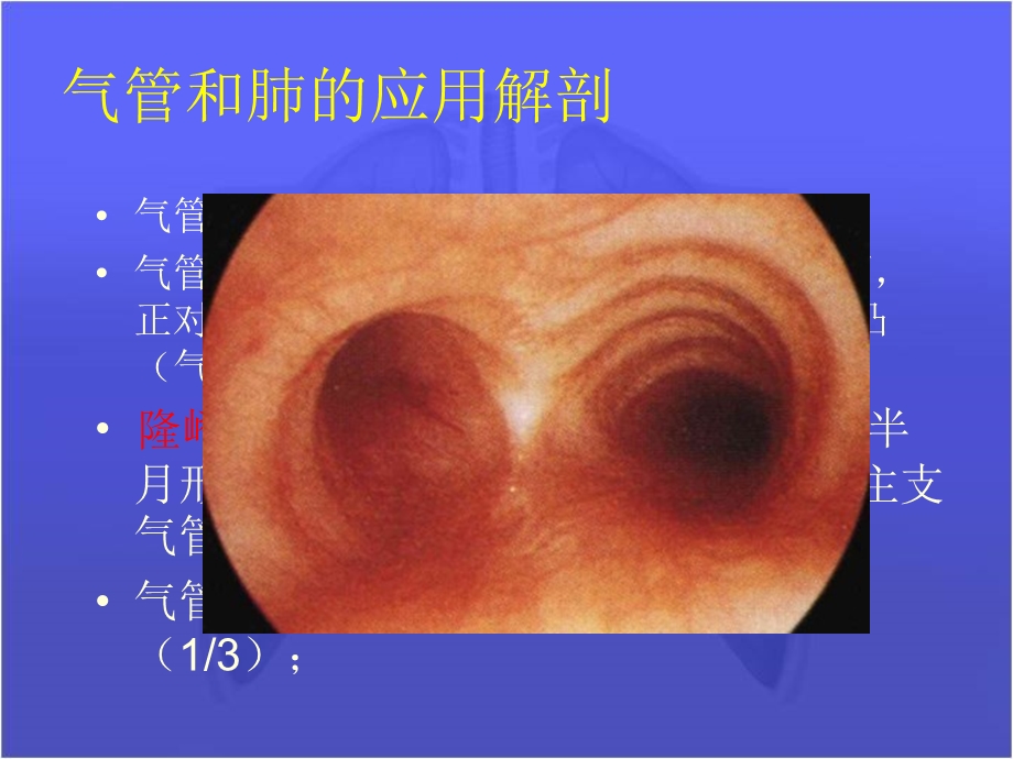 《肺部疾病》PPT课件.ppt_第2页