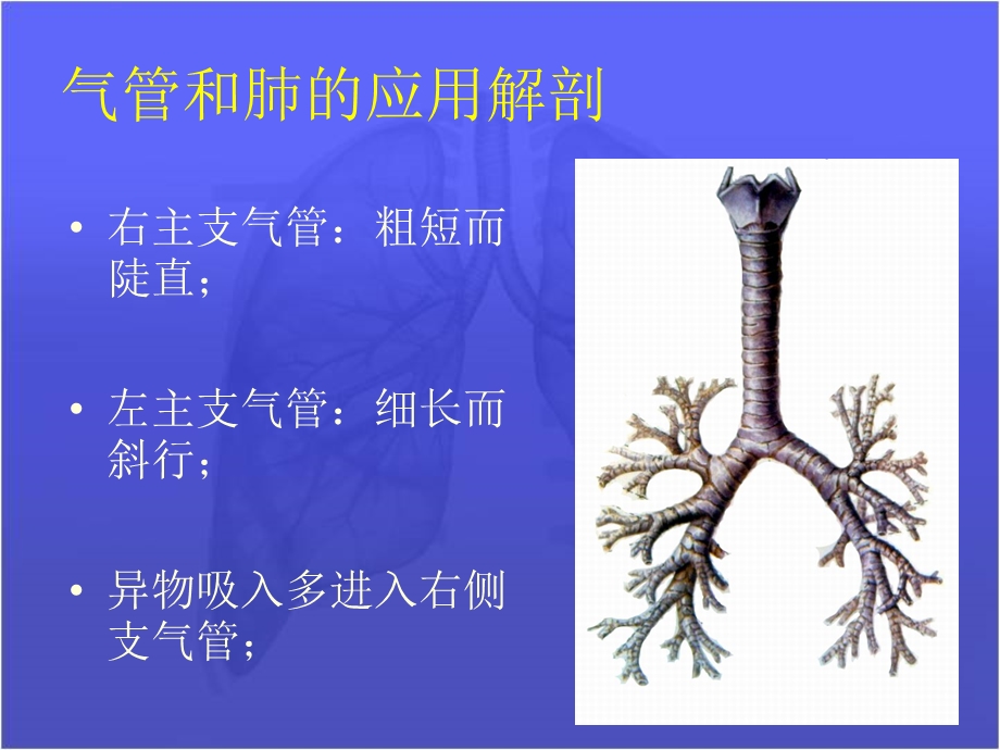 《肺部疾病》PPT课件.ppt_第3页