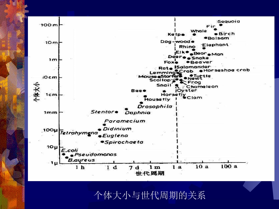 《生活史对策》PPT课件.ppt_第3页