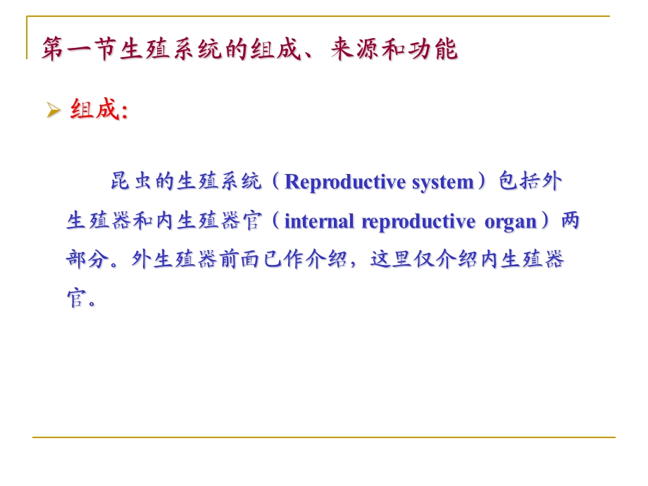 《昆虫生殖系统》PPT课件.ppt_第3页