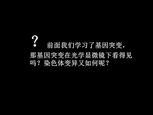 《染色体变异好》PPT课件.ppt