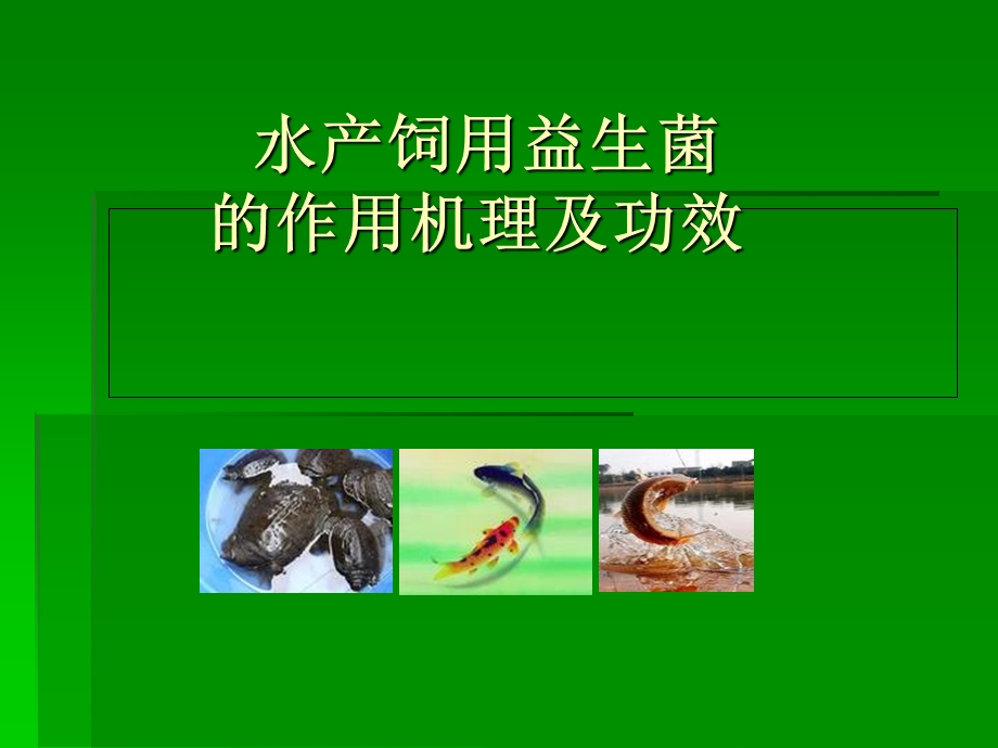 《水产益生菌》PPT课件.ppt_第1页