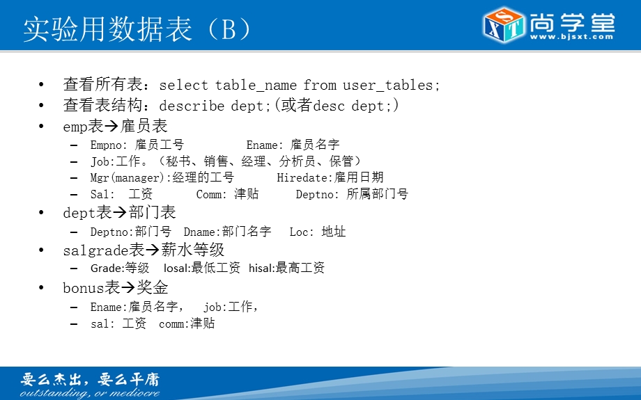 《数据库语言》PPT课件.ppt_第3页