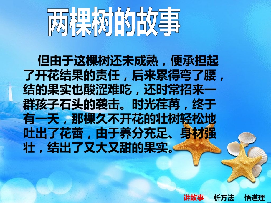 《两棵树的故事》PPT课件.ppt_第3页