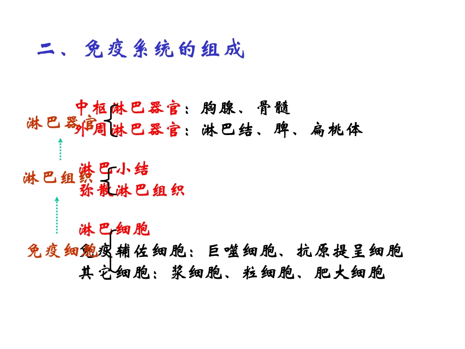 组织学与胚胎学7免疫系统学生.ppt_第3页