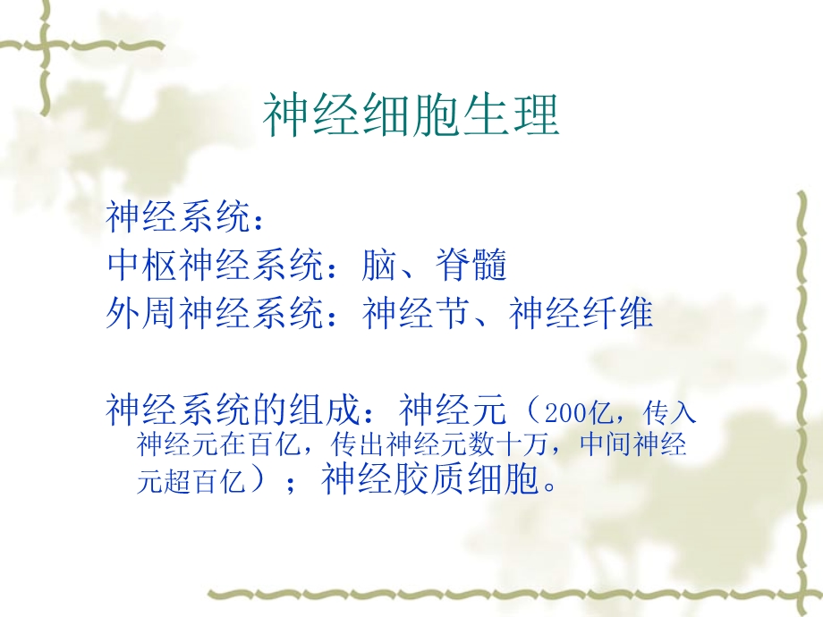 《神经细胞生理》PPT课件.ppt_第1页