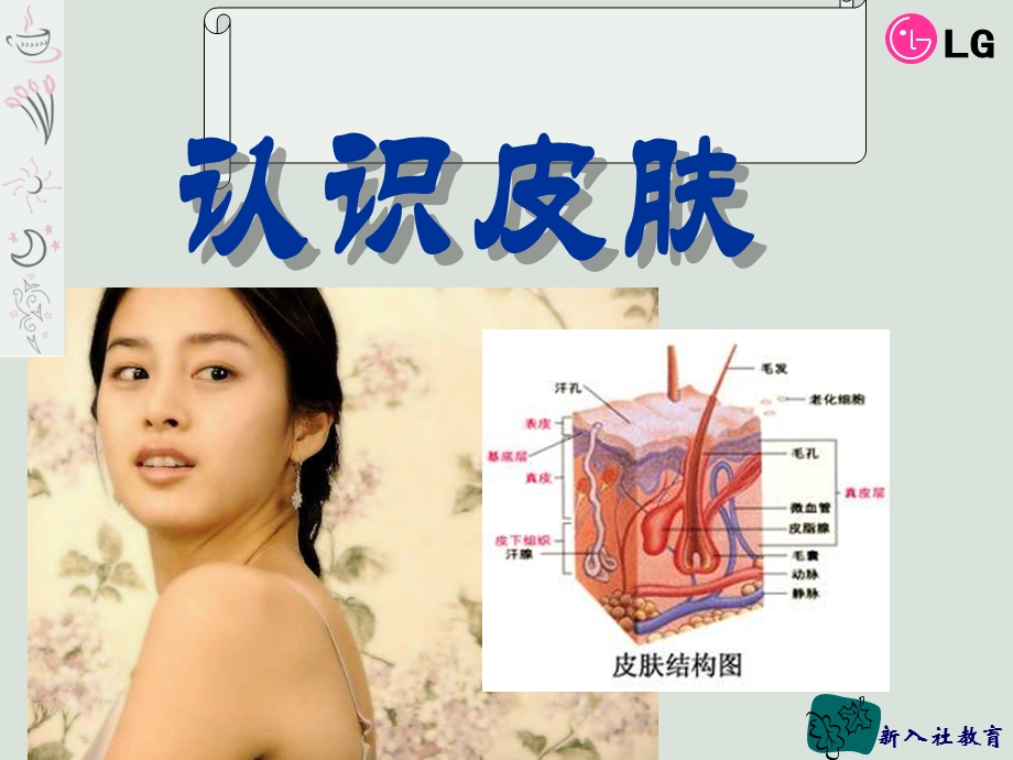 《皮肤知识初级》PPT课件.ppt_第2页