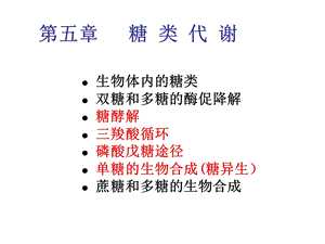 《糖类与糖类代谢》PPT课件.ppt